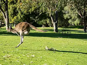 western-australia-z9s5f