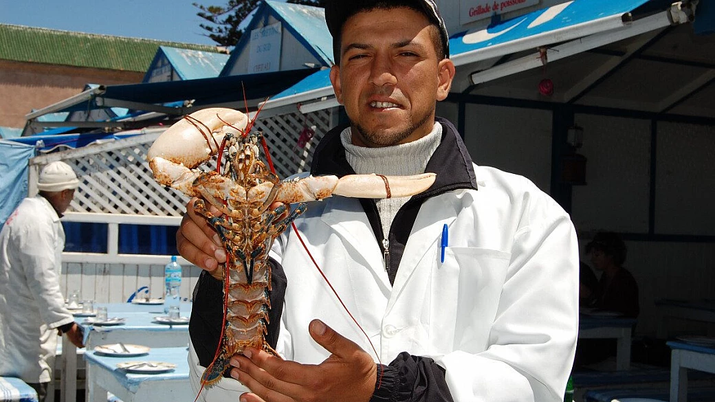 marocco sapori e profumi