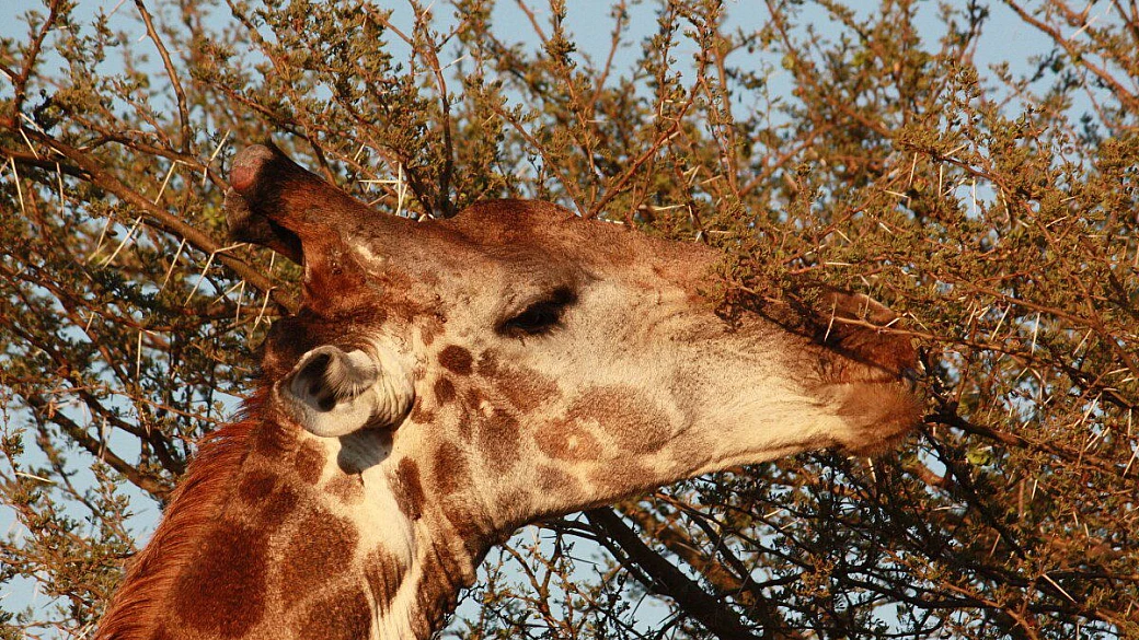 indimenticabile sudafrica! 2