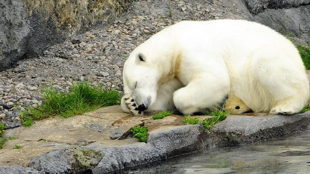 incantevole canada.....il ritorno.