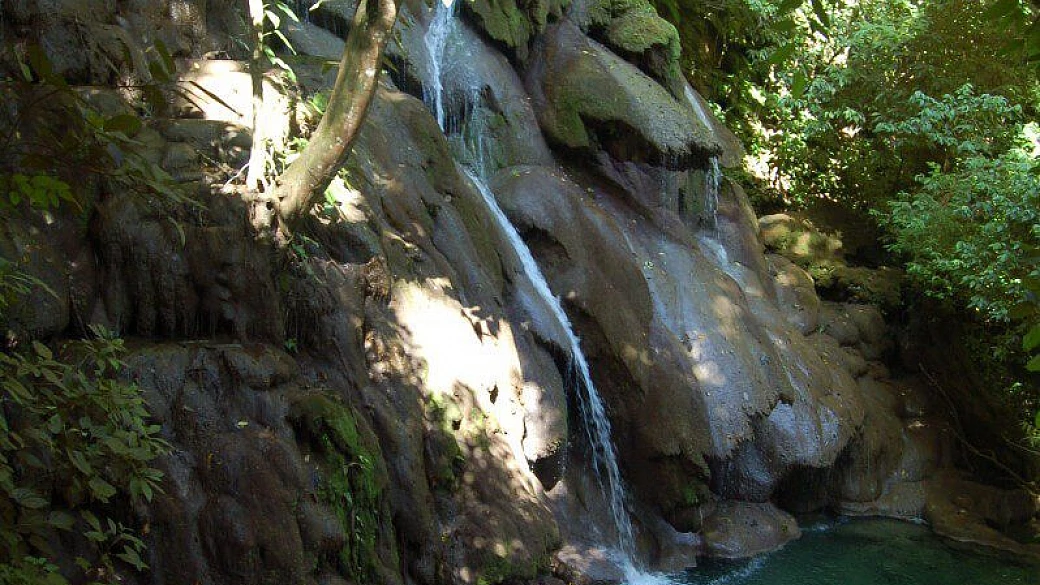 scimmie, tequila e magia