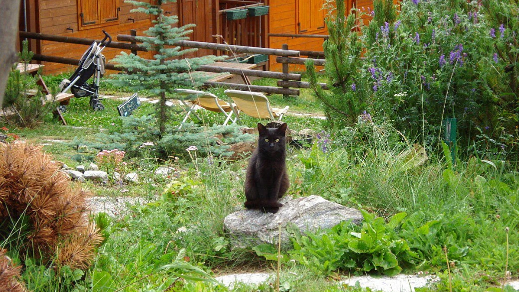 alto lazio, magico angolo fra natura e arte