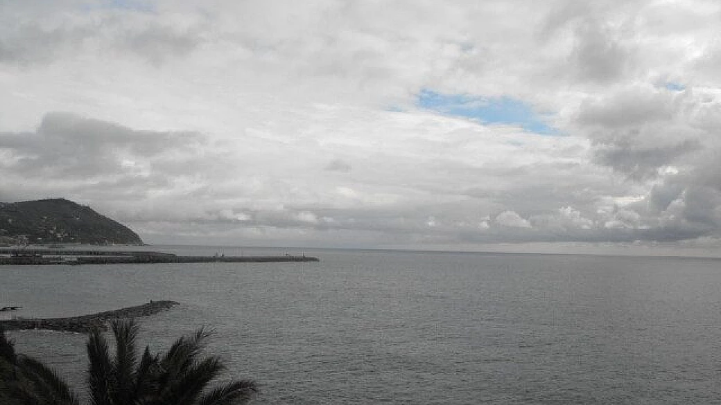 ulivo dopo ulivo fino al mare