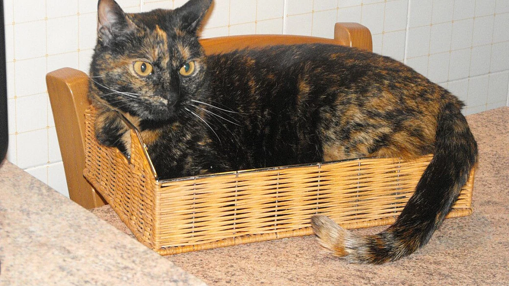 ponte del 25 aprile in umbria