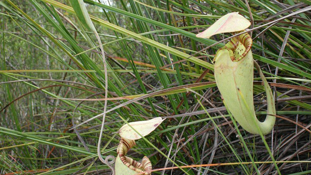 le torri di kuala lumpur e il relax a perhentian