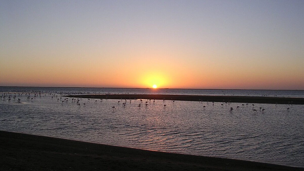 un sogno lungo 15 anni