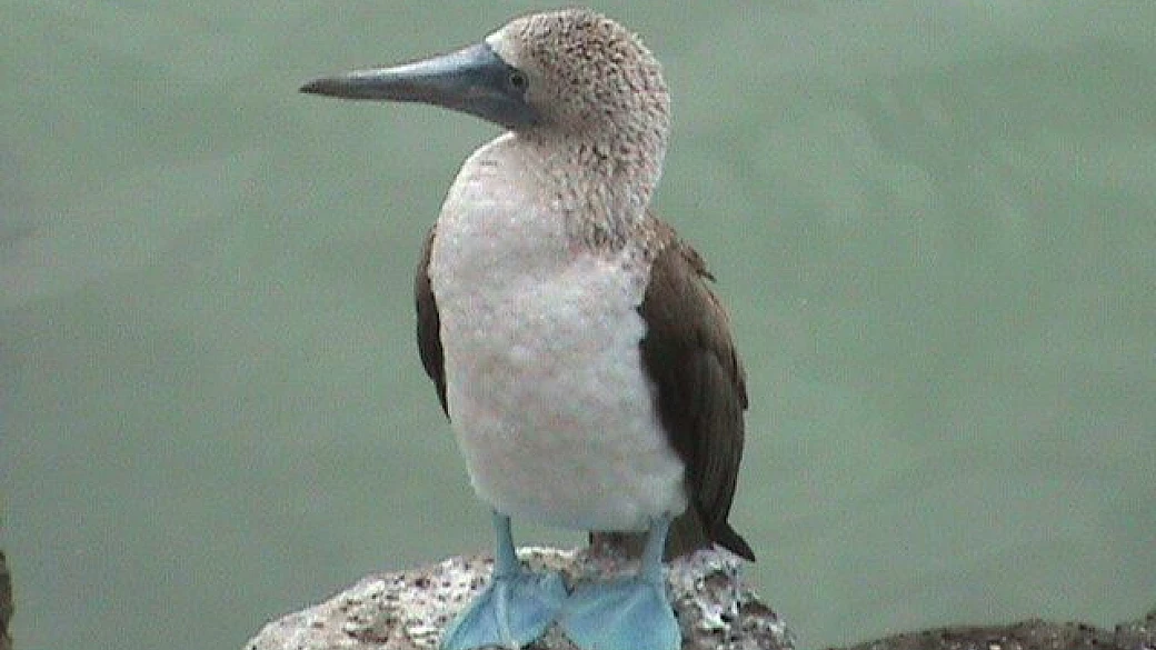 sud est degli stati uniti 2