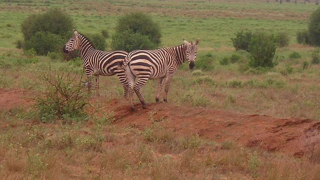 andare in giro senza farsi prendere in giro