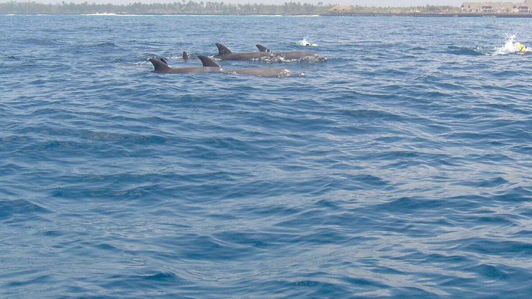 struggente tanzania di e zanzibar