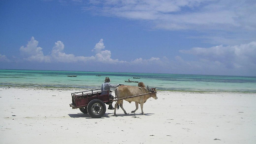 zanzibar e le maree