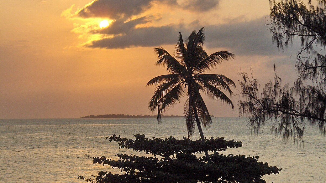 zanzibar 8