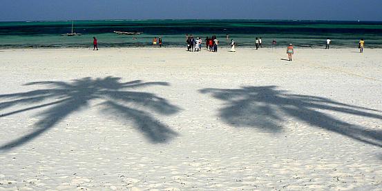 L'ombra delle palme sulla spiaggia