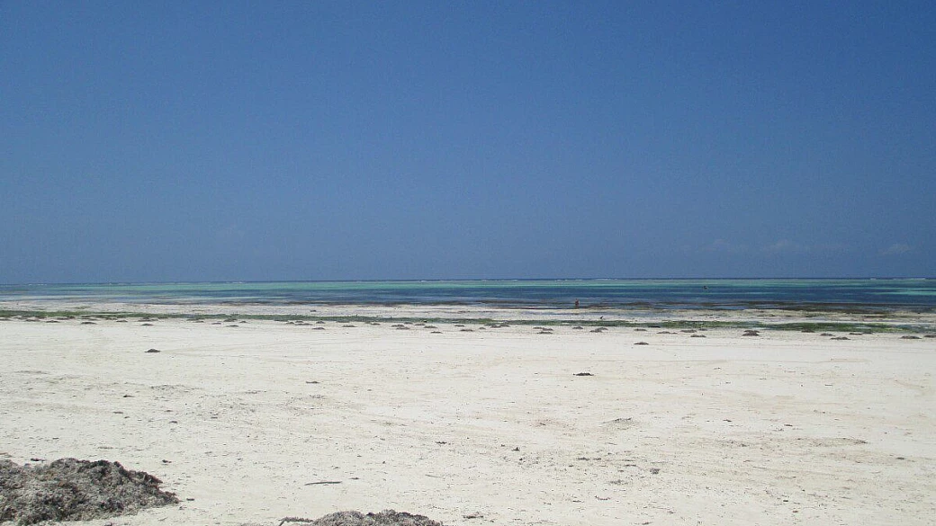 zanzibar, dove il sole infuocato illumina il paradiso