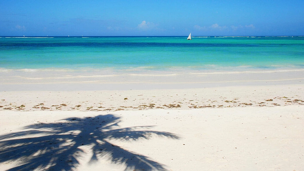 viaggio di nozze: zanzibar e safari