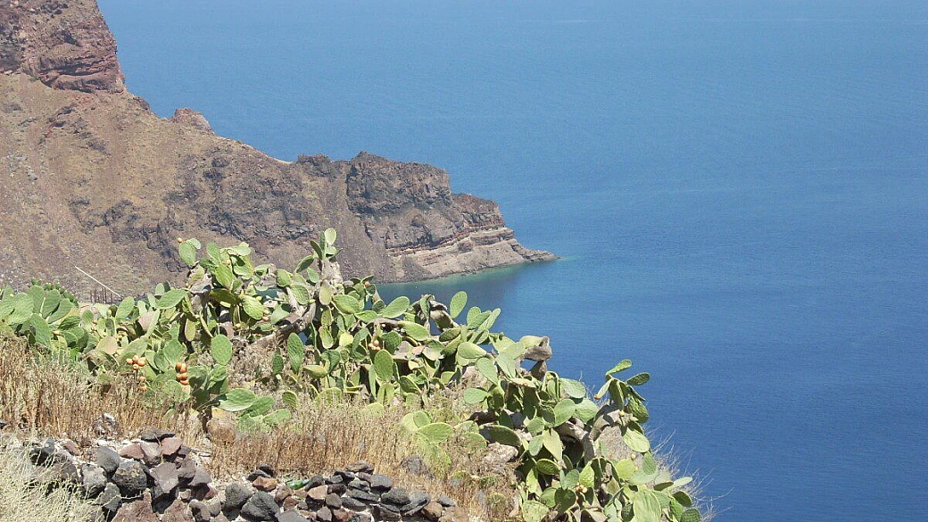 un mese in india del sud in bus