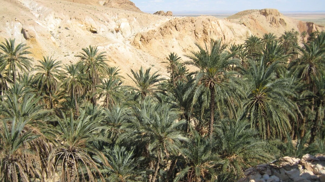 djerba: semplicemente bellissima