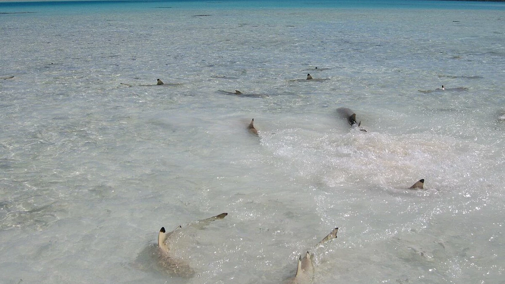 viaggio di nozze fai da te di rossella e antonio