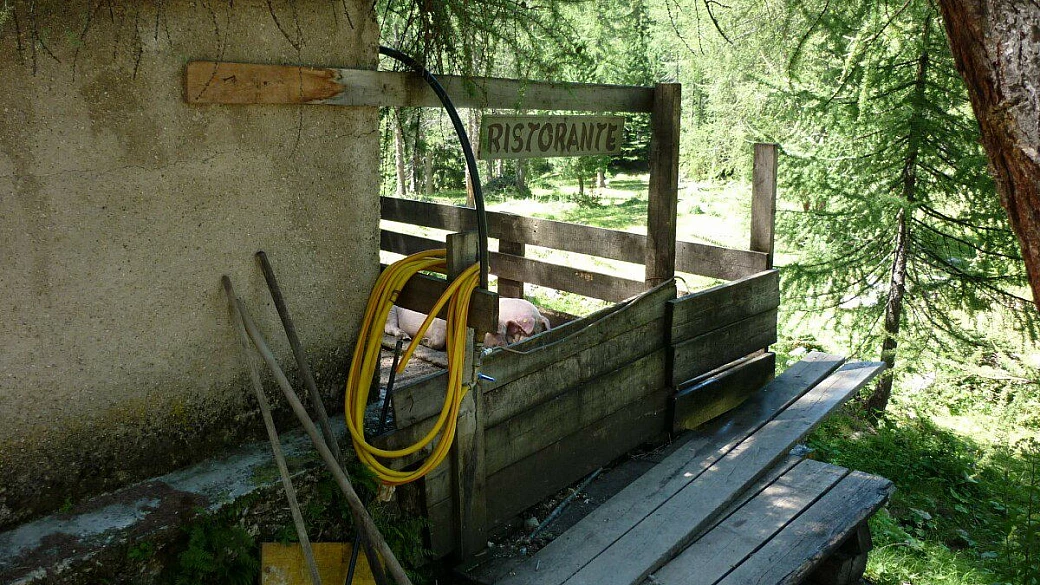 incursioni a trieste e padova da mestre