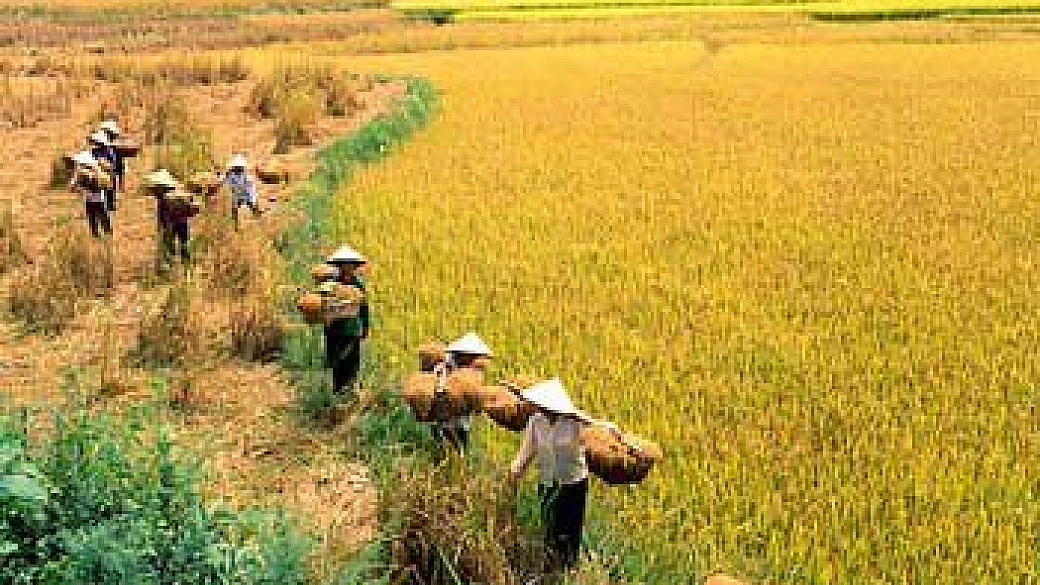 vietnam, la gioia di un sorriso