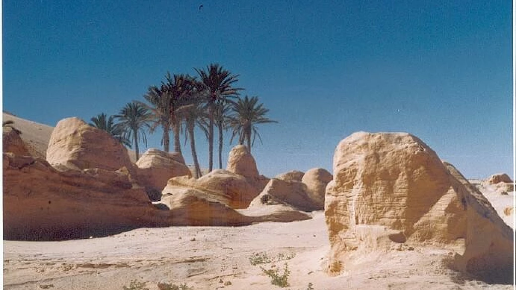 tunisia1: inverno a 13 €/g o del turismo stanziale