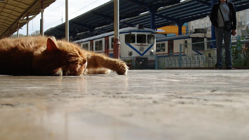 la turchia: una vera sorpresa