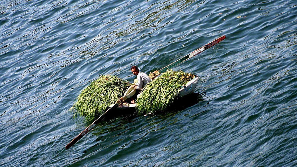 marsa alam abu nawas