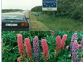 271188894_113135544572532_372453314515407402_n