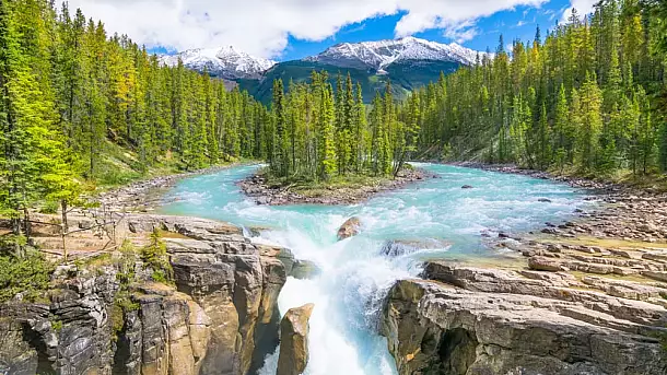 jasper national park