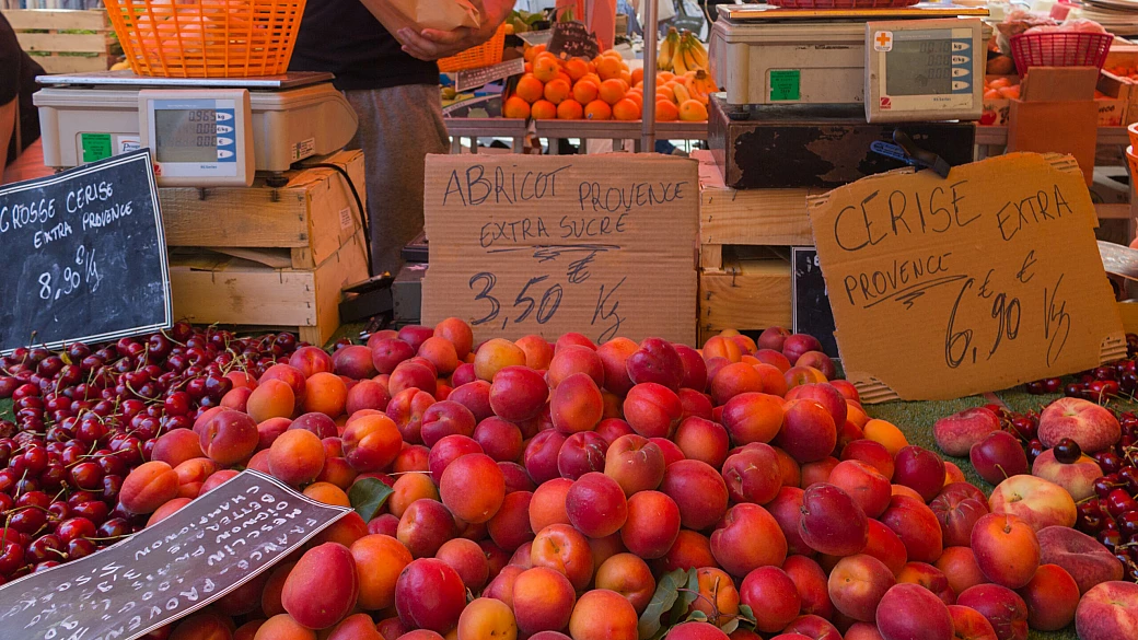 provenza: go camping