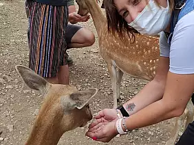 fb_img_1645097079760