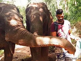 incontro_con_gli_elefanti_1_