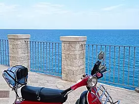 240401776_2962425707352099_5441532936631892042_n