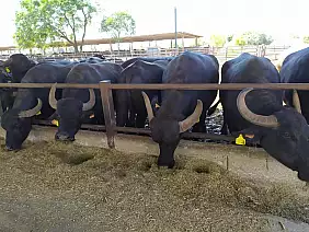 240594862_2965415433719793_4474614423815199560_n