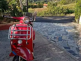 241179792_2966272686967401_7791378254750604886_n