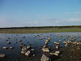 giara di gesturi, sardegna