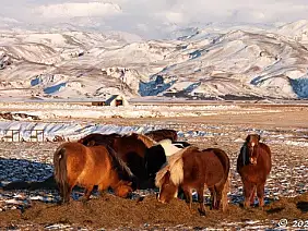 foto_01_03_22_18_59_56