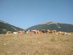 img_20210810_154038840