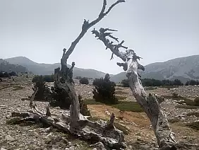 img_20210811_132529912_hdr