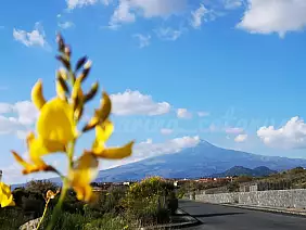 img_20220303_190059_01