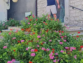 screenshot_20220322_125424_photos