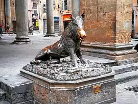 cinghiale