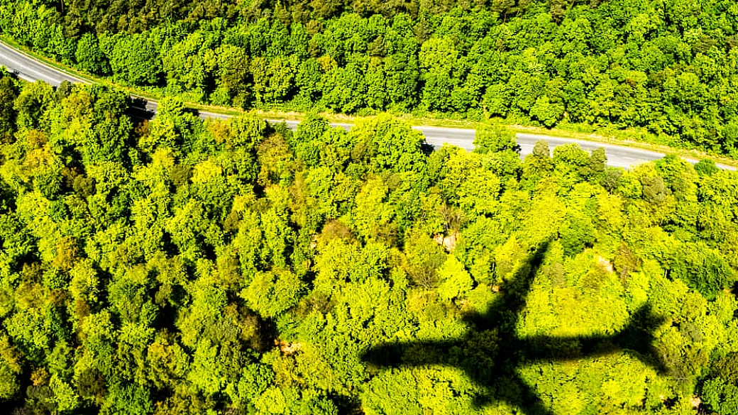 8 consigli per ridurre la tua impronta di co₂ durante un viaggio, dal volo al visto