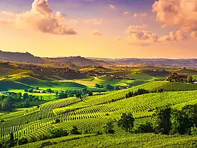 langhe e roero