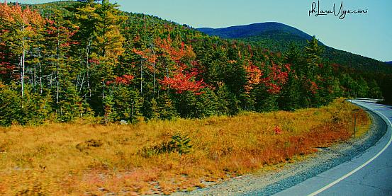 autunno sulle white mountains - new hampshire