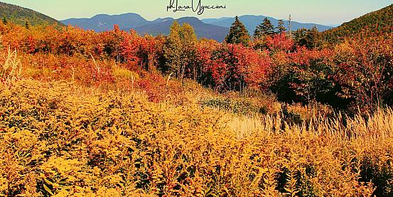 i colori dell'autunno sulle white mountains - new hampshire