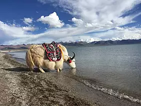 tibet-fai-da-te (2)