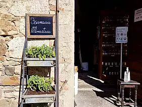 71aa16b7_fed9_4632_9fe4_800542ffb255