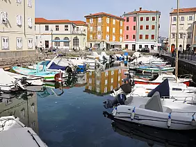muggia