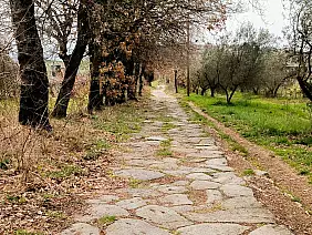 antico_basolato_via_cassia