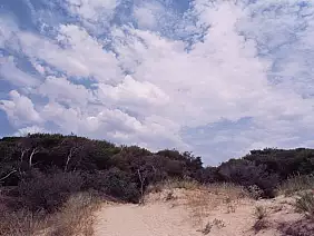 004ok_maldiveitalia_puglia_adelearati